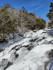 竜頭の滝 (1).jpg