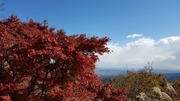 高5.jpg