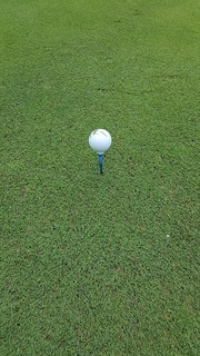 20190707_101225.jpg