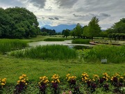 6月風景.jpg